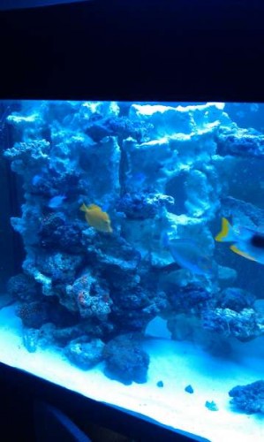 IMAG0093.jpg