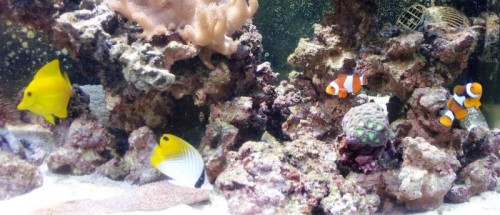 2011-08-09 13.23.062.jpg