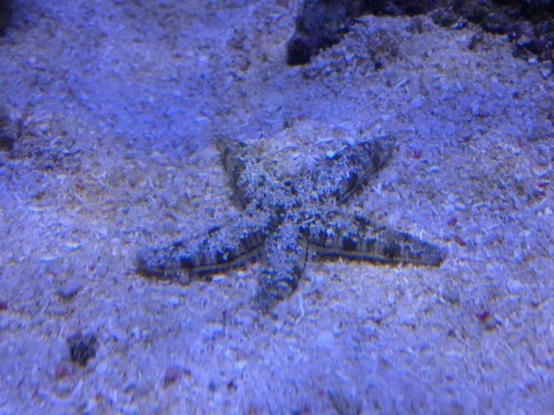 08082011589.jpg