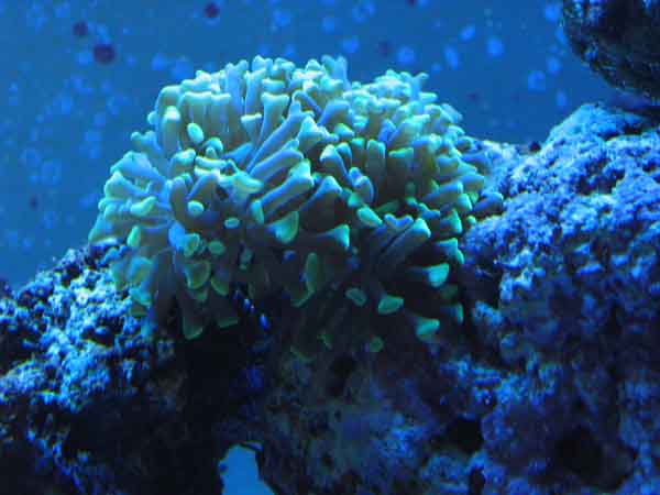 IMG_b.jpg