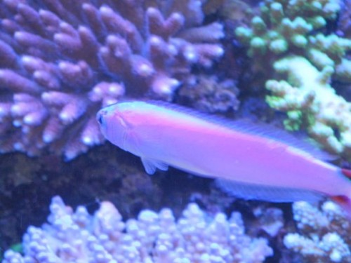 IMG_2306.jpg