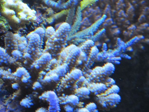 IMG_2291.jpg