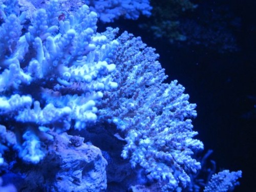 IMG_2327.jpg