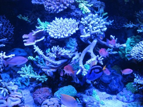IMG_2319.jpg