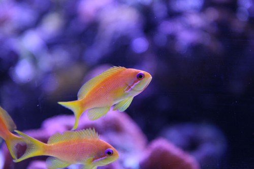 IMG_6001.JPG