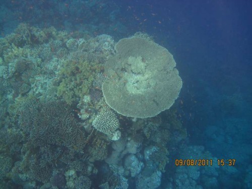 IMG_2832.JPG