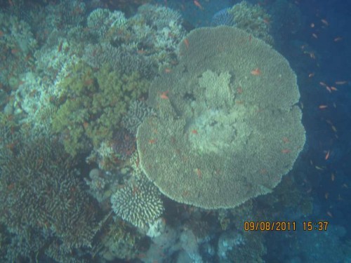 IMG_2833.JPG
