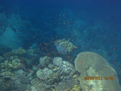 IMG_2835.JPG