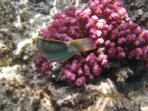 IMG_2960.JPG