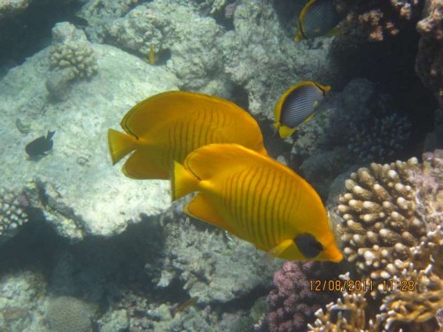IMG_3119.JPG