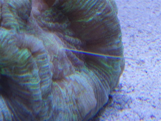 PC103266 (Small).JPG