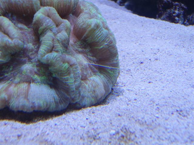 PC103265 (Small).JPG