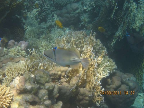 IMG_3362.JPG