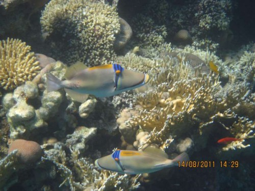 IMG_3367.JPG