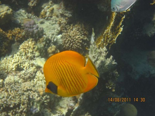 IMG_3368.JPG