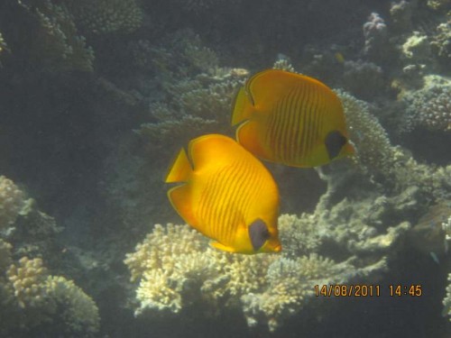 IMG_3390.JPG