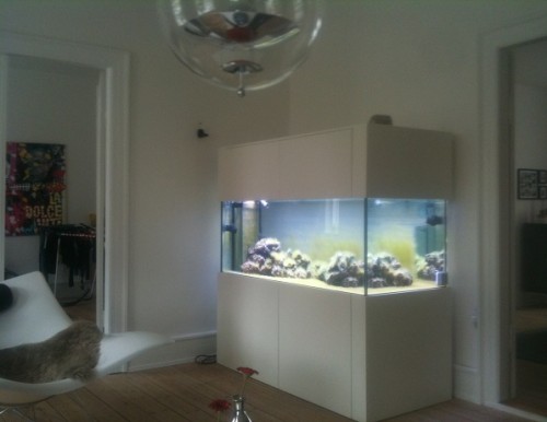 foto 2.JPG