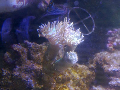 23082011712.jpg