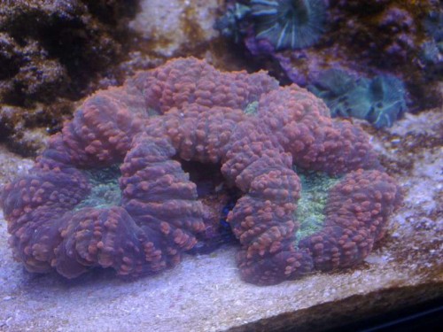 21082011696.jpg
