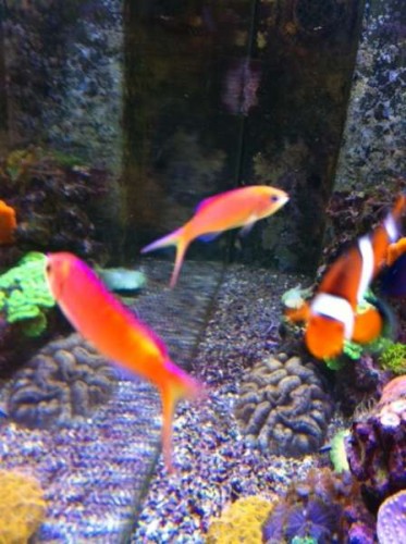 foto8.JPG