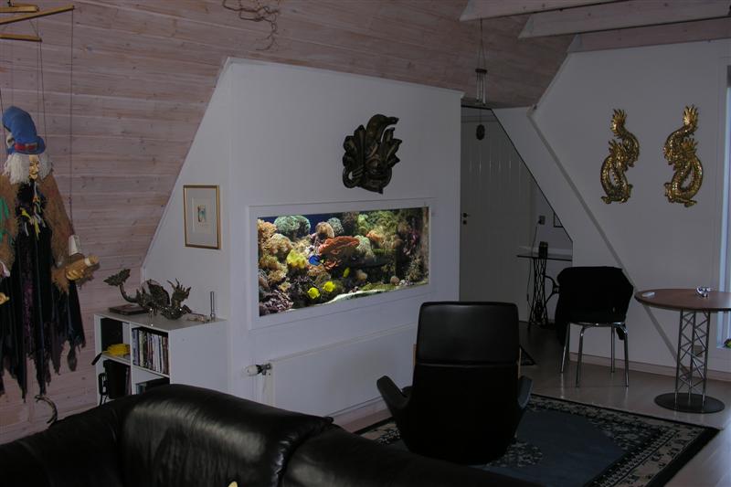 100_1387 (Medium).jpg