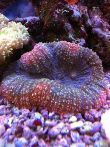 foto11.JPG