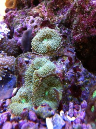 foto6.JPG