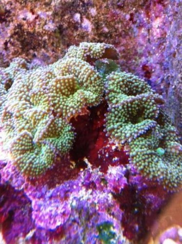 foto7.JPG
