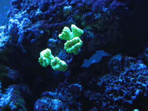 IMG_c.jpg