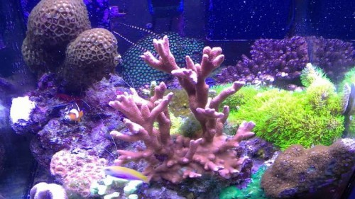 16092011233.JPG