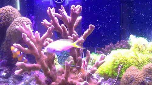16092011228.JPG