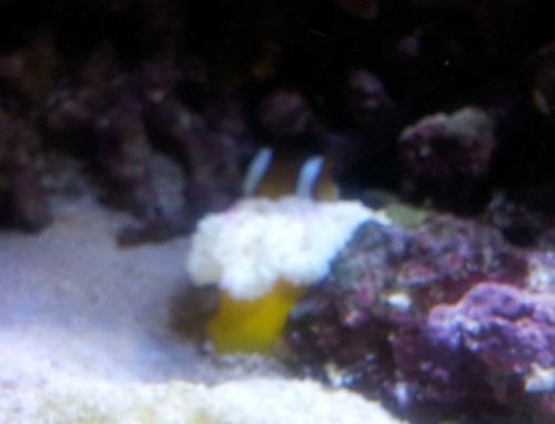 2011-09-18 15.31.08.jpg