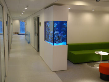 NovoZymes1.jpg