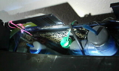 IMG196.jpg