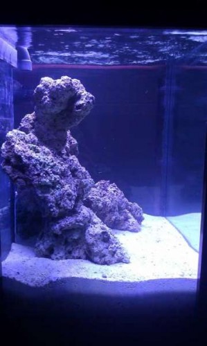 IMAG0105.jpg