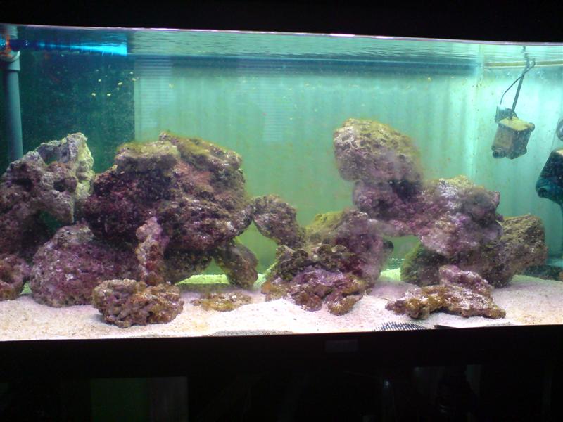 DSC00771 (Medium).JPG