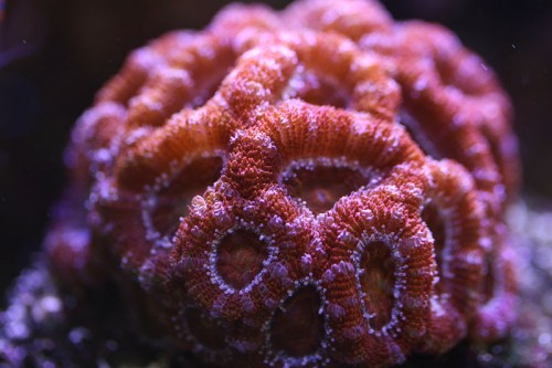 IMG_6339.JPG
