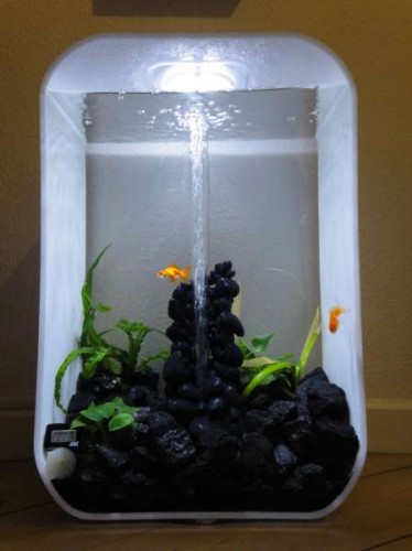 Lige et billede af vores 60L Biorb Life med Konens 2 slørhaler i :)