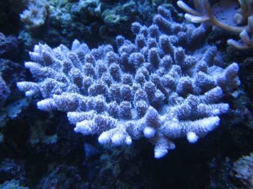 IMG_6123.JPG
