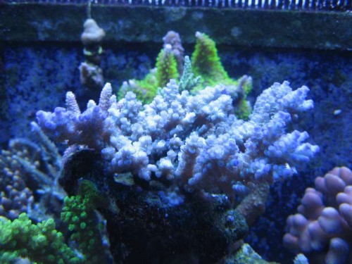 IMG_6125.JPG