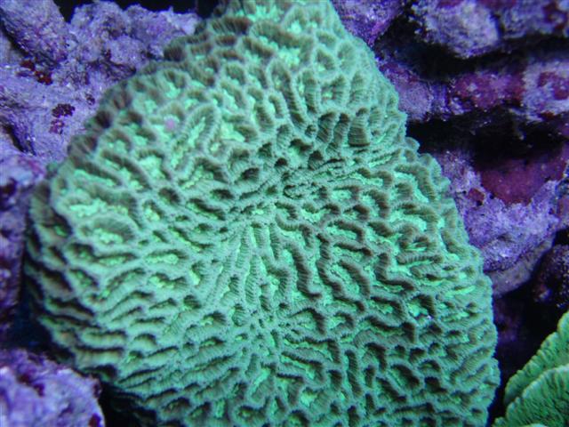 PC123369 (Small).JPG