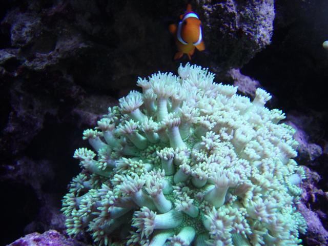 PC123353 (Small).JPG