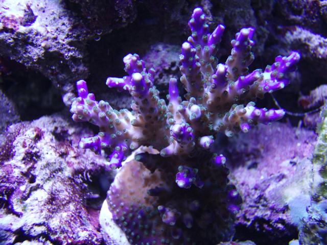 PC123343 (Small).JPG