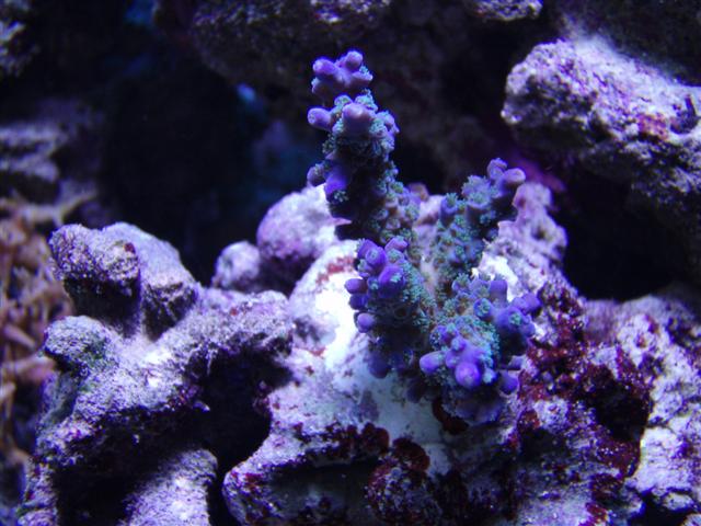 PC123341 (Small).JPG