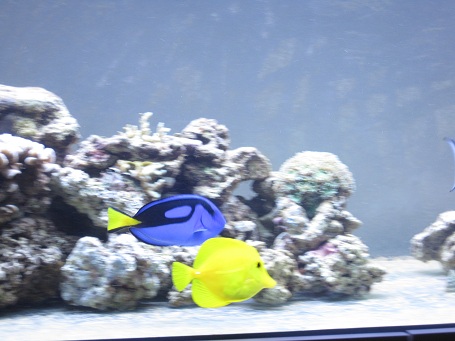 IMG_4800.JPG