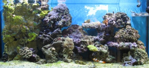 akvarie (1).JPG