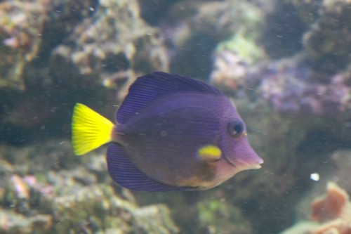 IMG_6004.jpg