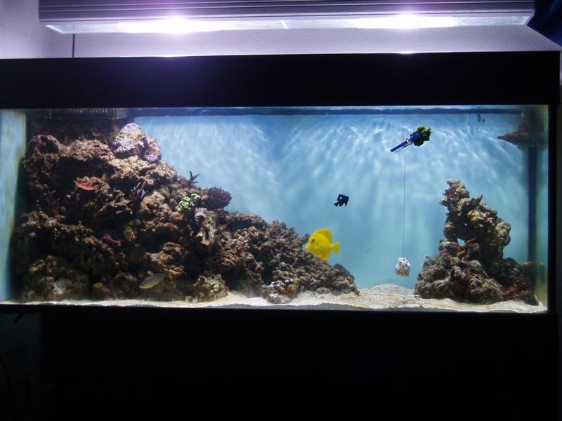 PC170017 (Medium).JPG