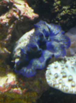 Akvarium-11.10.2011-001.jpg
