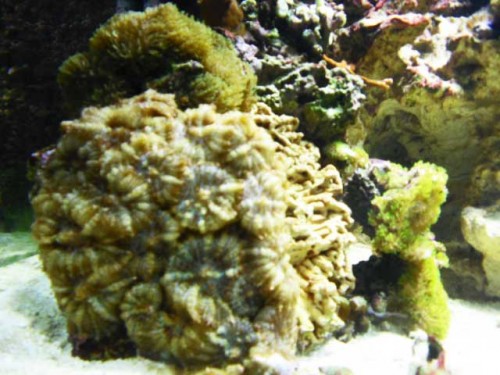 Akvarium-11.10.2011-014.jpg